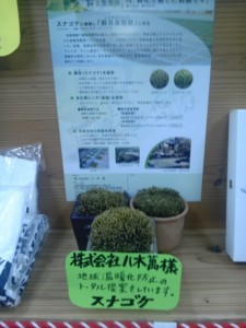 抽選会 協賛品ありがとうございます!!