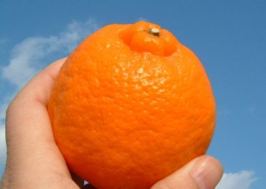 チェロキー専門店 ガレージサン抽選会まであと４日！！