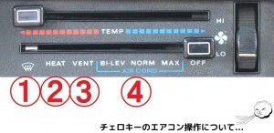 27369093_1457068037725786_6553850268088481975_o-300x146-300x146